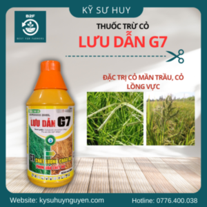 LUU DAN G7 2 400x400 1 1