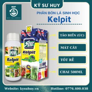 KELPIT