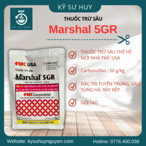 MARSHAL 5GR