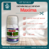 MAXIMA