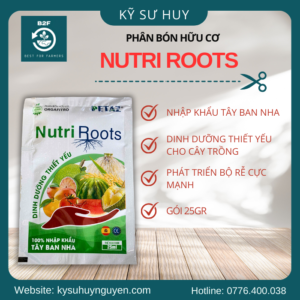 NUTRI ROOTS