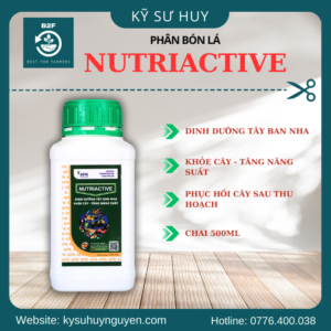 NUTRIACTIVE