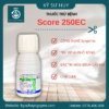 SCORE 250EC