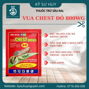 VUACHEST ĐỎ 800WG