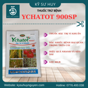 YCHATOT 900SP