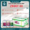 ZINNY 80