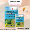 REDPOINT 86WP