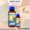 AIONE 15EC
